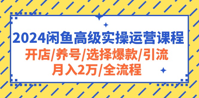 （10711期）2024闲鱼平台高端实际操作营销课程：开实体店/起号/挑选爆品/引流方法/月入2万/全过程-网创e学堂