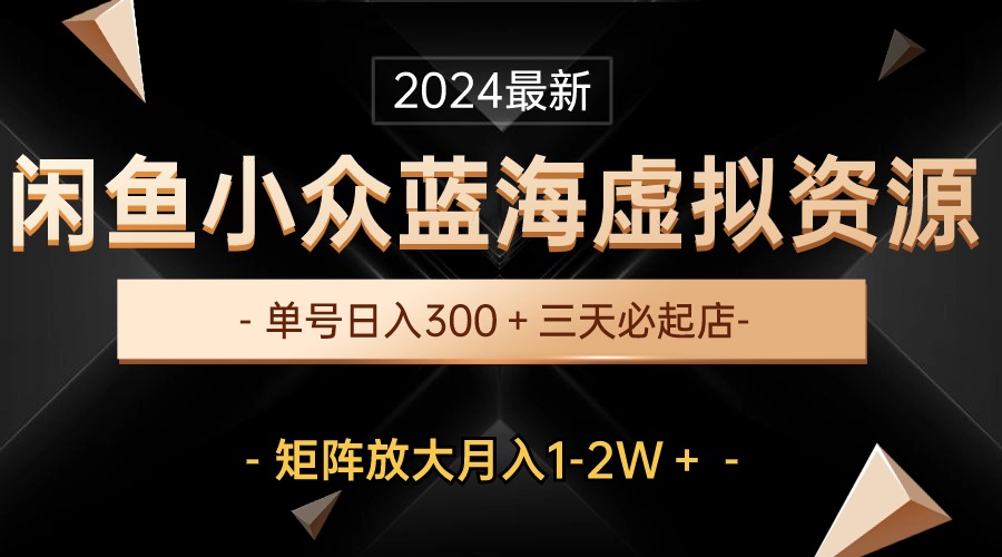 （10336期）最新闲鱼小众蓝海虚拟资源，单号日入300＋，三天必起店，矩阵放大月入1-2W-网创e学堂