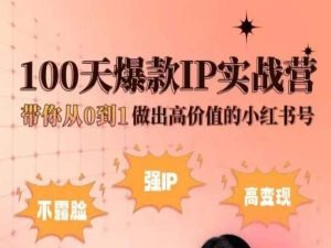 小红书的100天爆品IP实战营，陪你从0到1作出高颜值的小红书号-网创e学堂