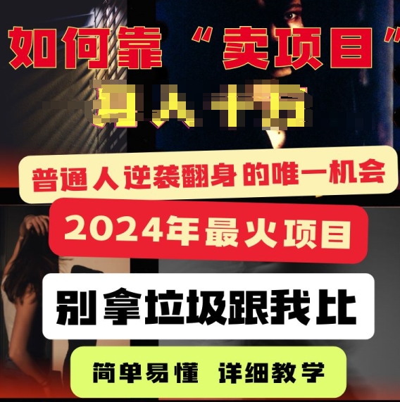 2024年最火项目，如何靠“卖项目”逆装翻身，简单易懂 详细教学 完整版5节课-网创e学堂