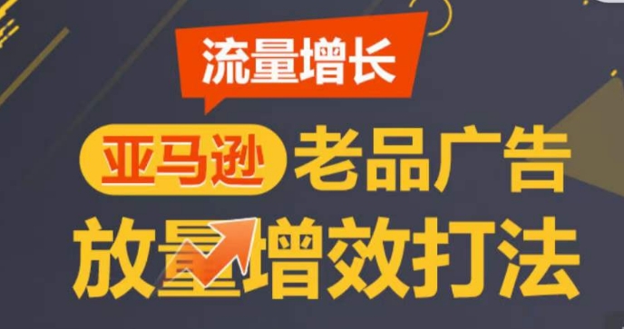 亚马逊平台流量增长-老品广告宣传放量上涨提质增效玩法，由浅入深，打造更多TOP listing-网创e学堂