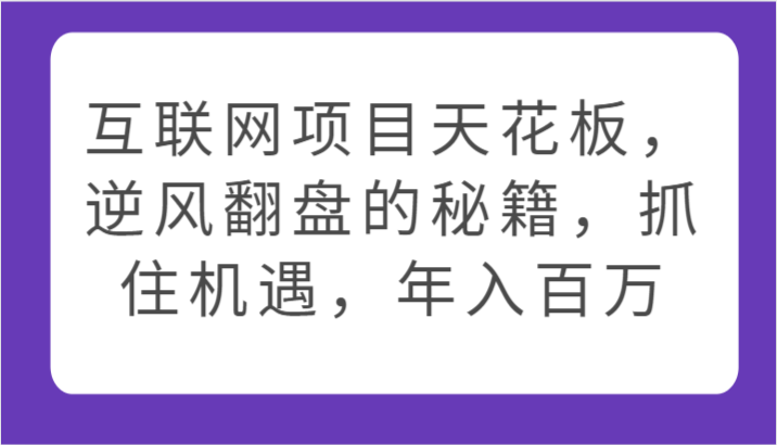 网络项目吊顶天花板，让二追三的秘笈，把握机遇，年收入百万-网创e学堂