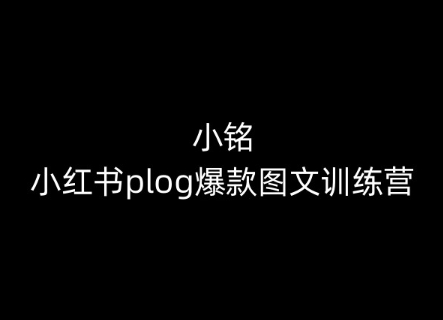 小铭-小红书的plog爆品图文并茂夏令营，教大家从0-1做小红书的-网创e学堂