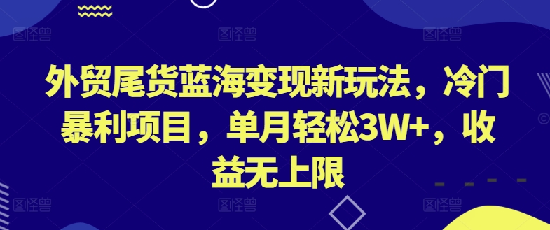 外贸尾货蓝海变现新玩法，冷门暴利项目，单月轻松3W+，收益无上限【揭秘】-网创e学堂