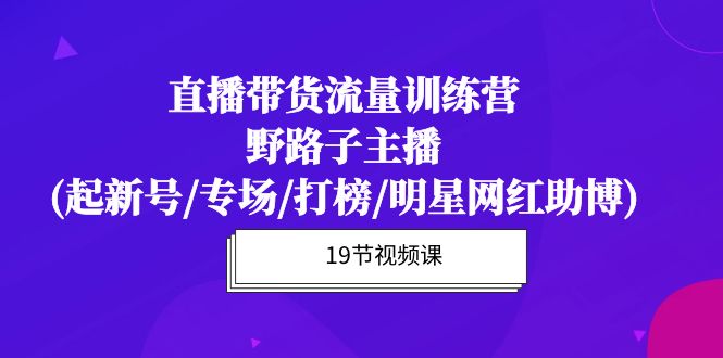 （10016期）直播卖货总流量夏令营，歪门邪道网络主播(起小号/盛典/冲榜/明星网红助博)19堂课-网创e学堂