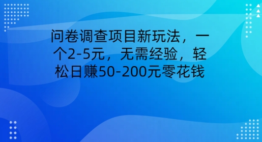 问卷调研新项目新模式，一个2-5元，无需经验，轻轻松松日赚50-200元零花钱-网创e学堂