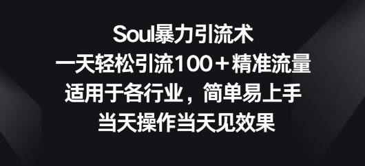 Soul暴力引流术，一天轻松引流100＋精准流量，适用于各行业，简单易上手-网创e学堂