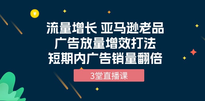 （10112期）流量增长 亚马逊平台老品广告宣传放量上涨提质增效玩法，短时间广告宣传销售量翻番（3堂视频课堂）-网创e学堂