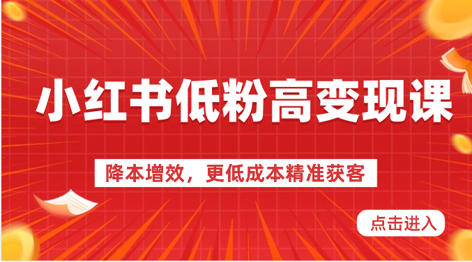 小红书的低筋粉高转现课-降低成本，更低成本营销获客，小红书的必出平台流量登陆密码-网创e学堂