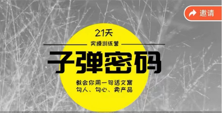 《子弹密码训练营》用一句话文案撩人勾心推销产品，21天学习到顶尖文案高手方案和方法-网创e学堂