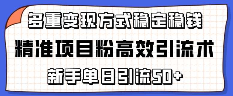 精确新项目粉高效率引流术，初学者单日引流方法50 ，多种变现模式稳定赚钱【揭密】-网创e学堂