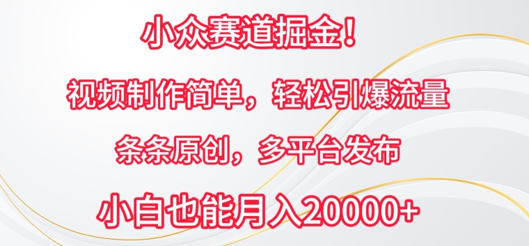 小众赛道掘金，视频制作简单，轻松引爆流量，条条原创，多平台发布【揭秘】-网创e学堂