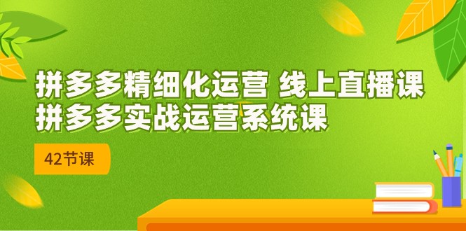 拼多多精细化运营 线上直播课：拼多多实战运营系统课（更新47节）-网创e学堂