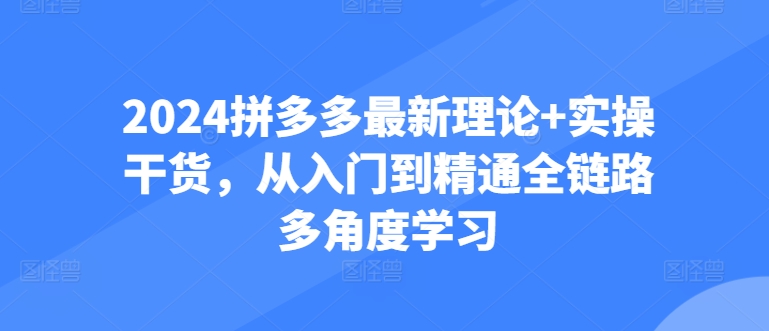 2024拼多多最新理论+实操干货，从入门到精通全链路多角度学习-网创e学堂