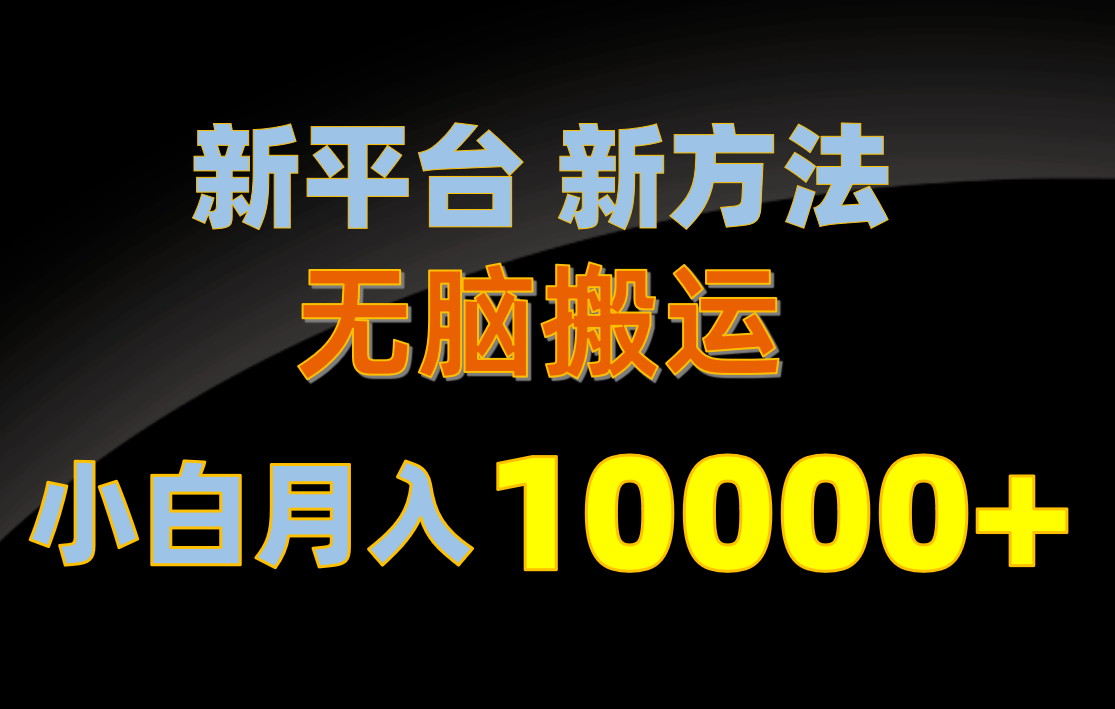 （10605期）新平台新方法，无脑搬运，月赚10000+，小白轻松上手不动脑-网创e学堂