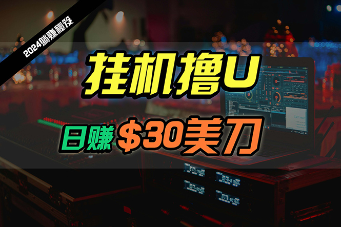 （10013期）日赚30美金，2024全新国外放置挂机撸U内部结构新项目，全过程无人化，可大批量变大-网创e学堂