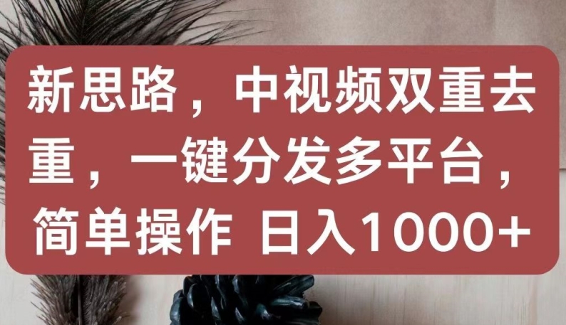 新思路，中视频双重去重，一键分发多平台，简单操作，日入1000+【揭秘】-网创e学堂