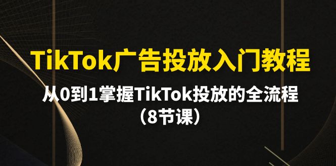 （10085期）TikTok广告营销基础教程，从0到1把握TikTok推广等各个环节（8堂课）-网创e学堂