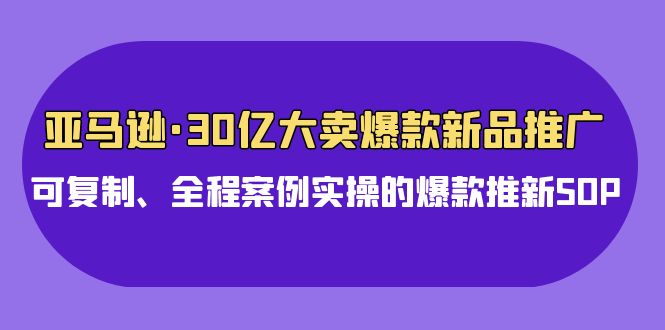 亚马逊平台30亿热销爆品新品推广，复制推广、全过程实例实际操作的爆款上新SOP-网创e学堂