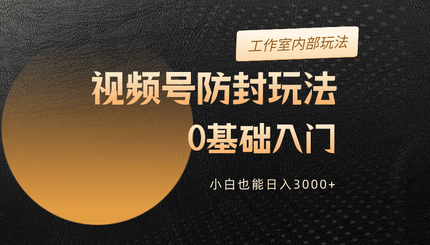 （10107期）2024微信视频号更新封号游戏玩法，零基础入门，新手也可以日入3000-网创e学堂