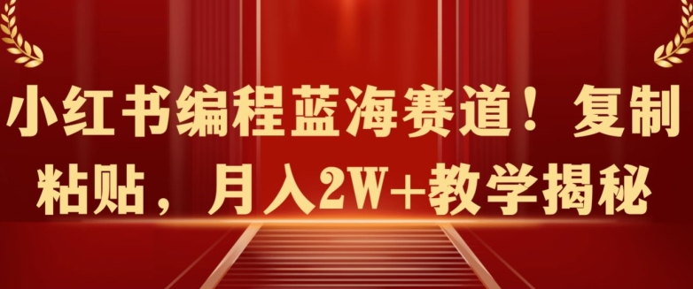 小红书编程蓝海赛道!复制粘贴，月入2W+教学揭秘-网创e学堂