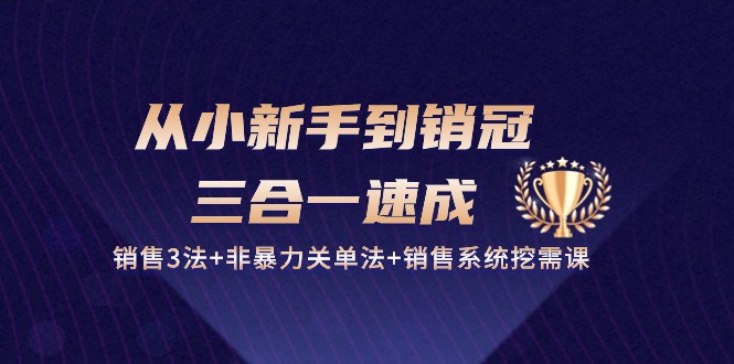 从小新手到销冠三合一速成：销售3法+非暴力关单法+销售系统挖需课 (27节)-网创e学堂