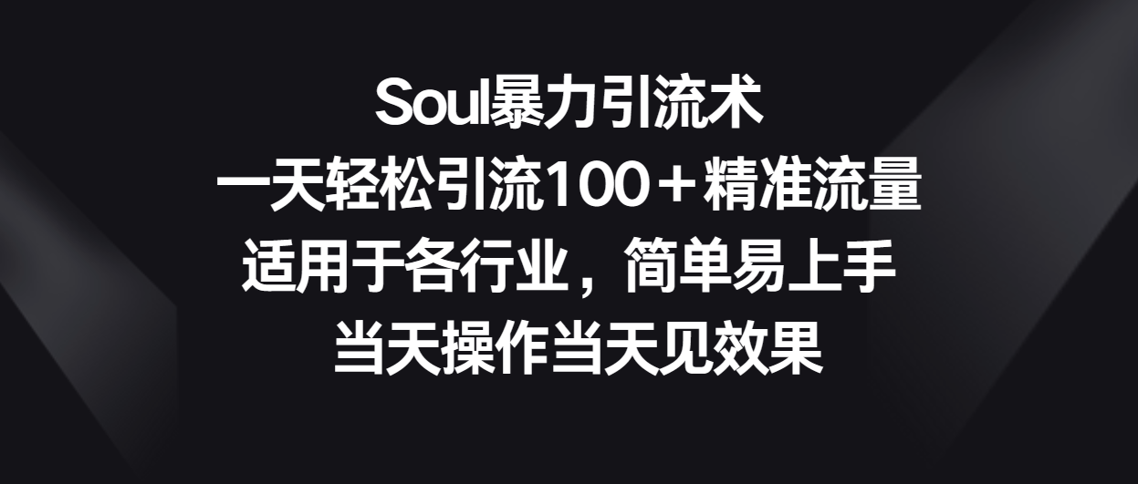 Soul暴力引流术，一天轻松引流100＋精准流量，适用于各行业，简单易上手！-网创e学堂