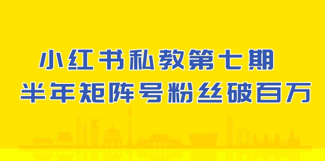 小红书的私人教练第七期，小红书的90天增粉18w，1周增粉过万 大半年矩阵账号粉丝们破百万-网创e学堂