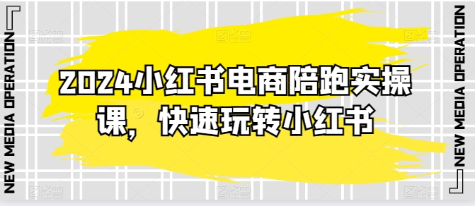 2024小红书电商陪跑实操课，迅速轻松玩小红书的，超出20节精细化管理课程内容-网创e学堂