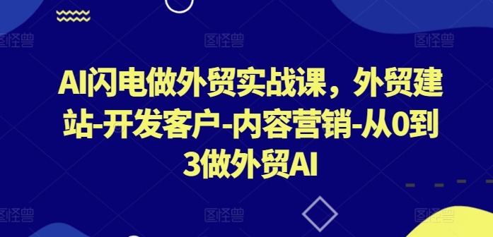 AI闪电做外贸实战课，​外贸建站-开发客户-内容营销-从0到3做外贸AI-网创e学堂