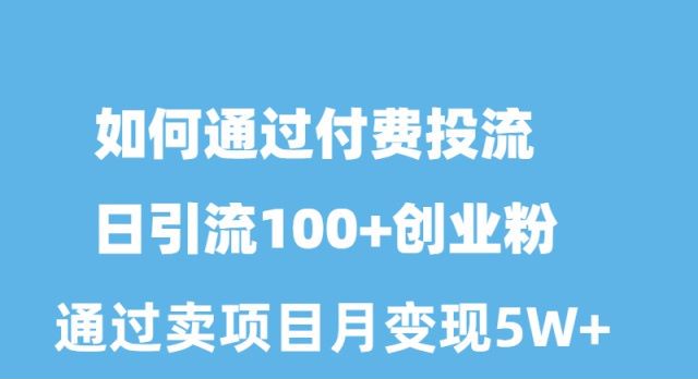 （10189期）怎样通过付钱投流日引流方法100 自主创业粉月转现5W-网创e学堂