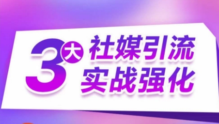 3大社交媒体引流方法实战演练加强，多种渠道站外引流，高效率营销获客，订单信息销售总额翻倍增长-网创e学堂