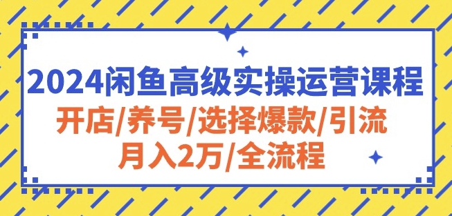 2024闲鱼高级实操运营课程：开店/养号/选择爆款/引流/月入2万/全流程-网创e学堂