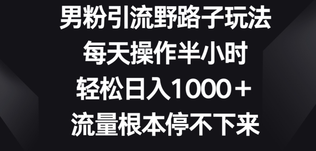 男粉引流野路子玩法，每天操作半小时轻松日入1000+，流量根本停不下来-网创e学堂