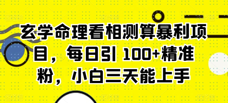 风水玄学八字命理算命计算赚钱项目，每日引 100 精准粉，新手三天可以上手-网创e学堂