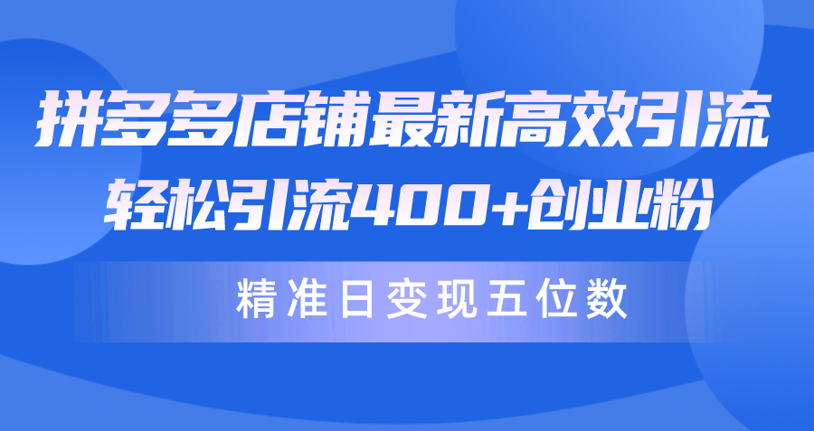 （10041期）拼多多商家全新高效率引流术，轻轻松松引流方法400 自主创业粉，精确日转现五位数！-网创e学堂