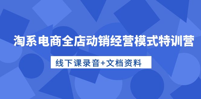 （10192期）淘宝电子商务全店动销运营模式夏令营，面授课音频 档案文件-网创e学堂