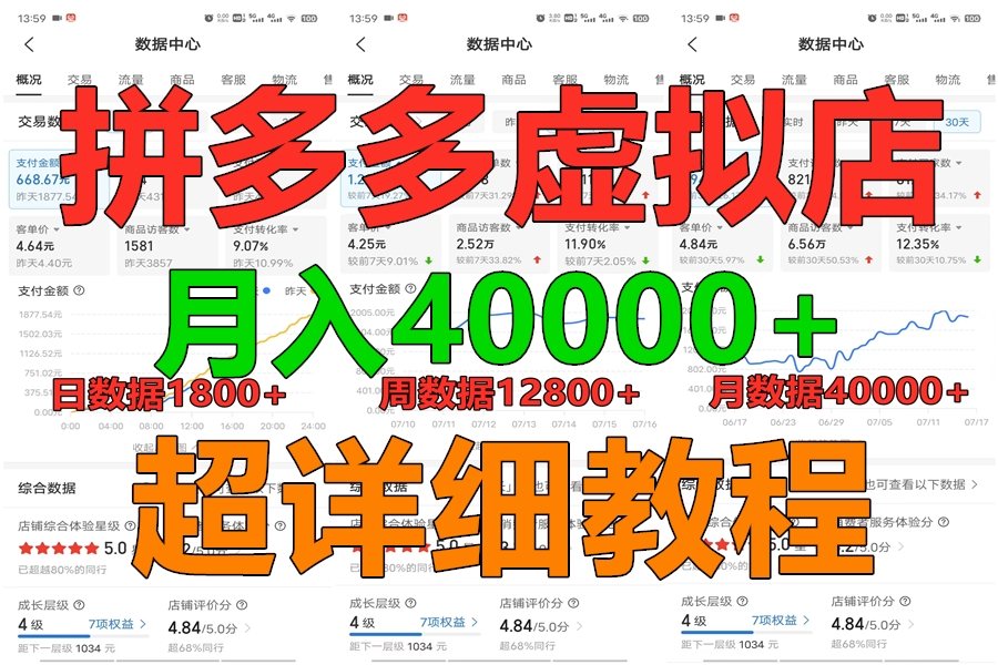 拼多多虚拟电商训练营月入40000+，全网最详细，你做你也行，暴利稳定长久-网创e学堂