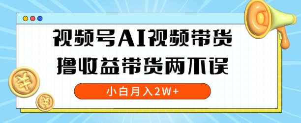 视频号AI视频带货，全程解放双手，撸收益带货两不误，小白月入2W+-网创e学堂