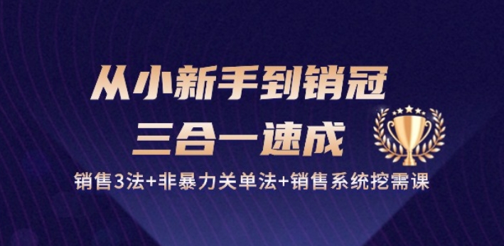 从小新手到销冠 三合一速成：销售3法+非暴力关单法+销售系统挖需课 (27节)-网创e学堂