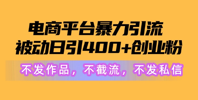 电商平台暴力引流，被动日引400+创业粉不发作品，不截流，不发私信-网创e学堂