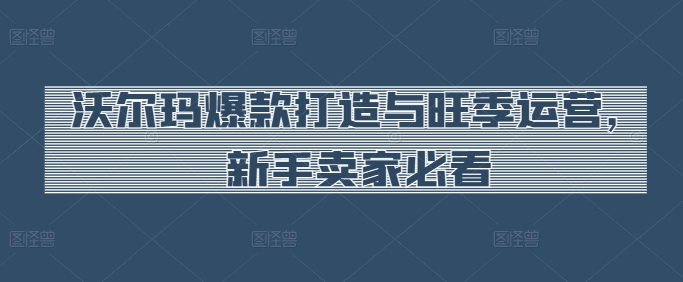 沃尔玛超市爆款打造与高峰期经营，新手卖家必读-网创e学堂