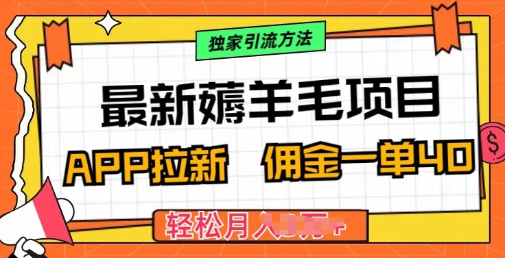 最新薅羊毛项目，利用购物APP拉新，佣金一单40.配合独家引流方法-网创e学堂