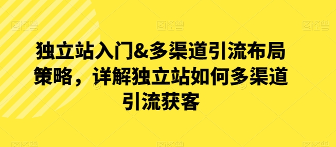 自建站新手入门&多种渠道引流方法合理布局对策，详细说明自建站怎样多种渠道引流方法拓客-网创e学堂