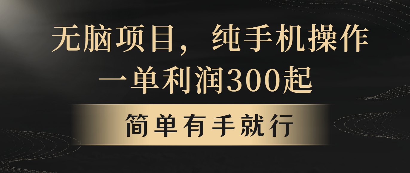 （10589期）没脑子新项目，一单几百元，轻轻松松月入5w ，看了就可以直接实际操作-网创e学堂