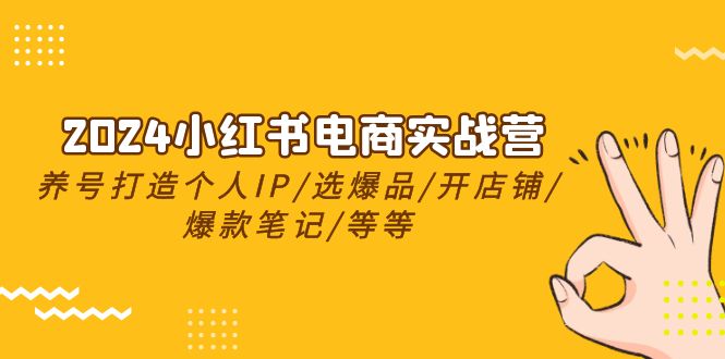 2024小红书电商实战营，起号打造出IP/选爆款/开店铺/爆品手记/等（24节）-网创e学堂