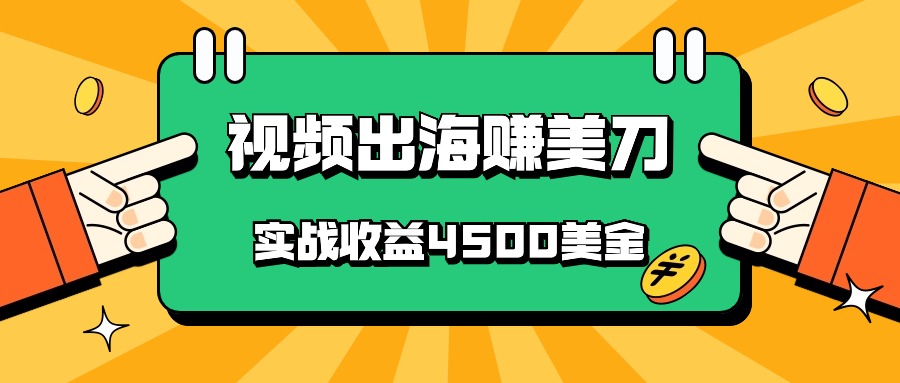 中国爆款短视频出航赚美金，实战演练盈利4500美元，大批量没脑子运送，无需经验直接上手-网创e学堂