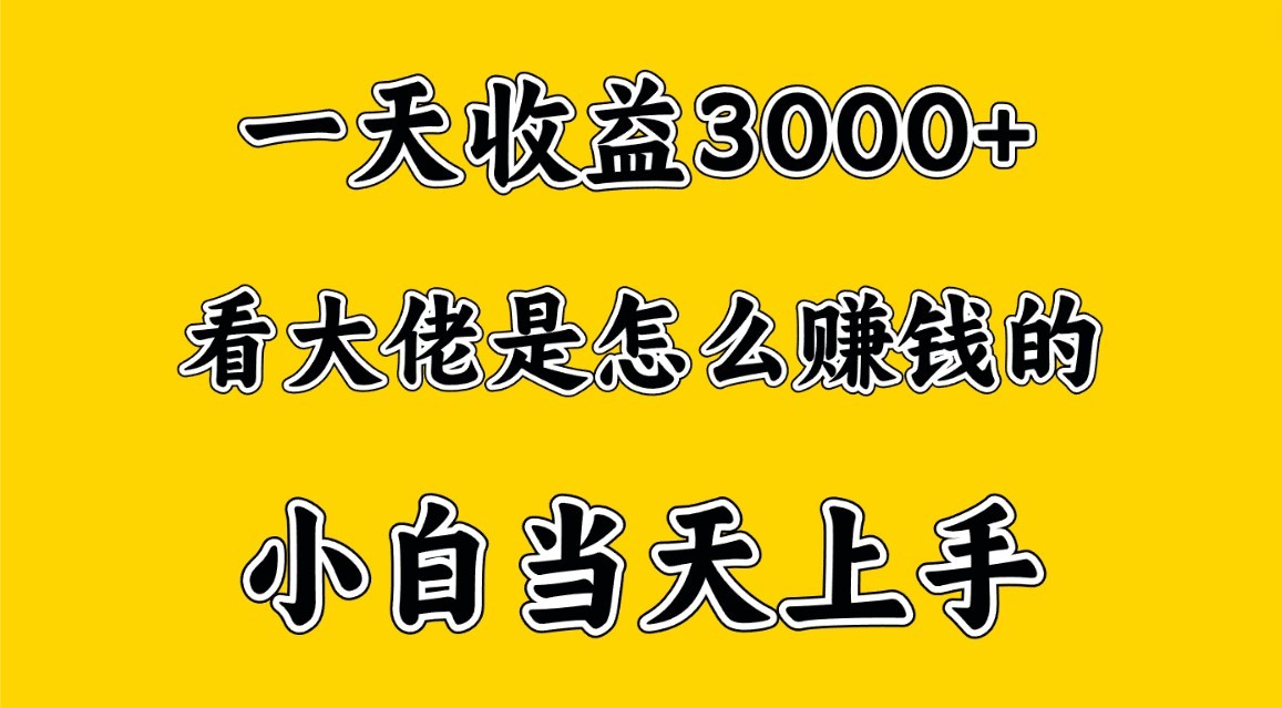 一天赚3000多，大佬是那样赚大钱的，新手当日入门，穷人翻身新项目-网创e学堂