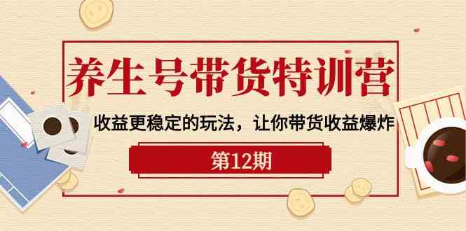 健康养生号卖货夏令营【12期】盈利更稳定的游戏玩法，使你卖货盈利发生爆炸（9节视频课堂）-网创e学堂