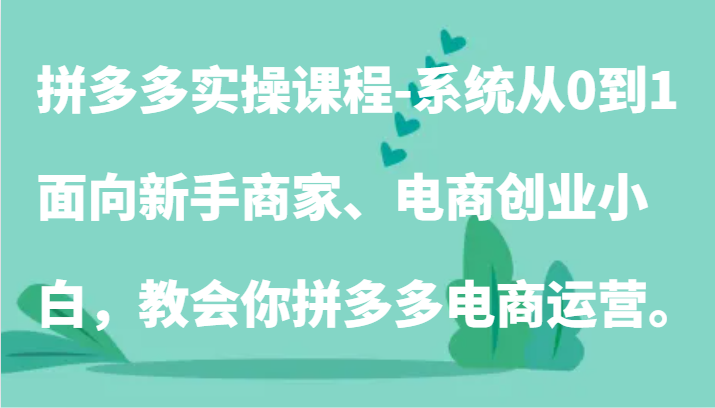 拼多多实操课程：系统从0到1，面向新手商家、电商创业小白，教会你拼多多电商运营。-网创e学堂